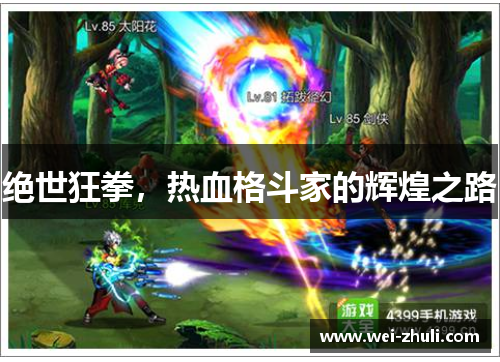 绝世狂拳，热血格斗家的辉煌之路