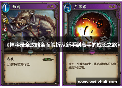 《神将录全攻略全面解析从新手到高手的成长之路》
