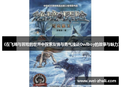《在飞翔与冒险的世界中探索友情与勇气浅谈Owlboy的故事与魅力》
