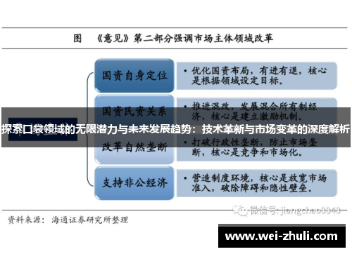 探索口袋领域的无限潜力与未来发展趋势：技术革新与市场变革的深度解析